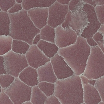 1420 Queen of Hearts