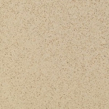 5010 Beige Pro