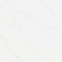 8119 Calacatta Verona