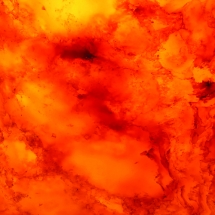 9003 Translucent Collection