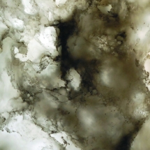 9004 Translucent Collection